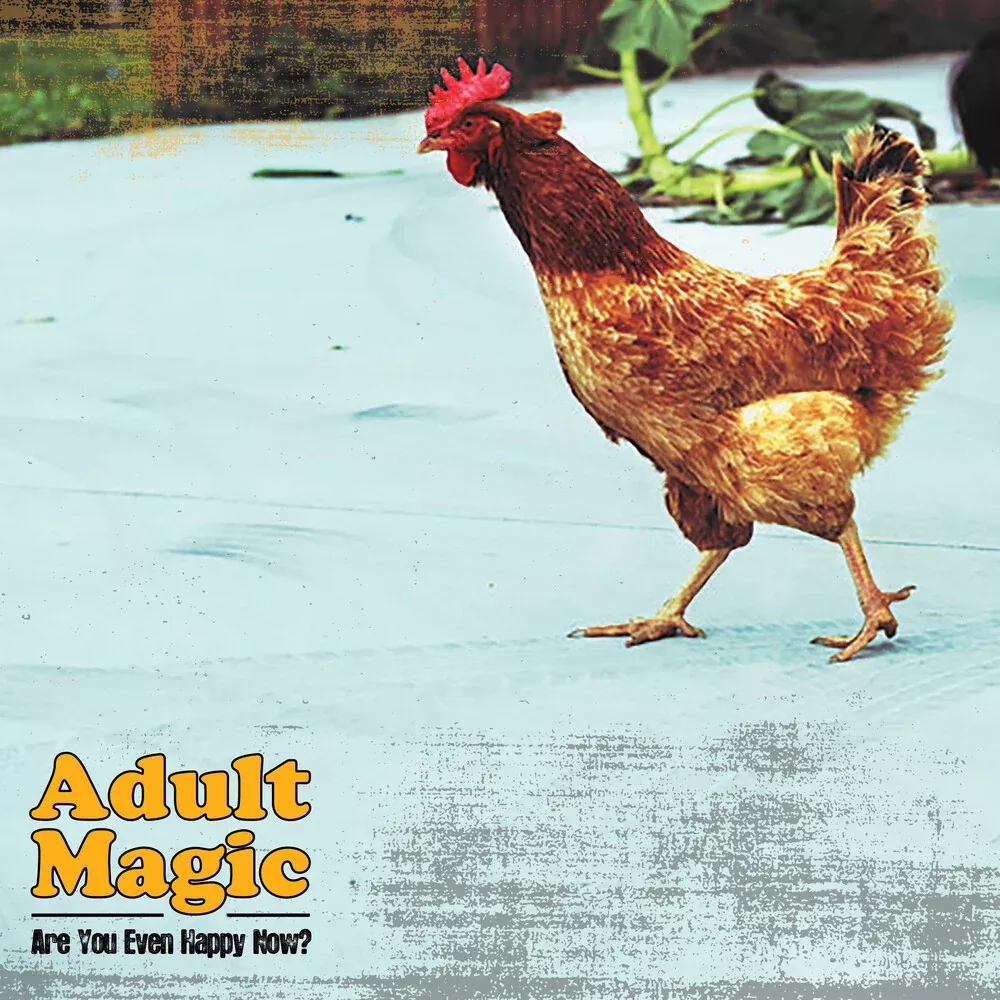 Adult Magic - Are You Even Happy Now LP