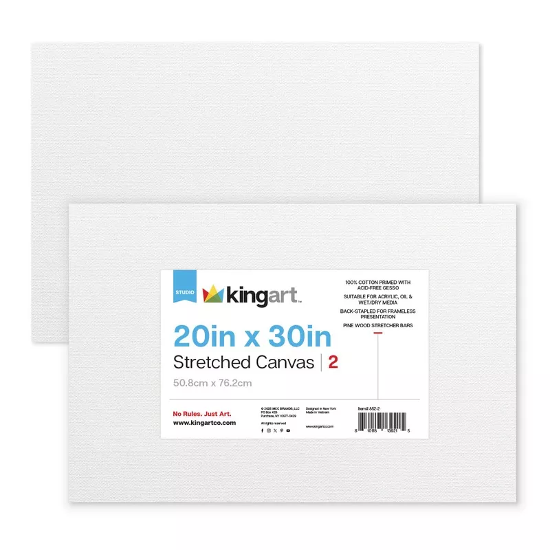 Stretched Canvas Set20 x 30 Rectangle, 100% Cotton, Primed (2 Pack)
